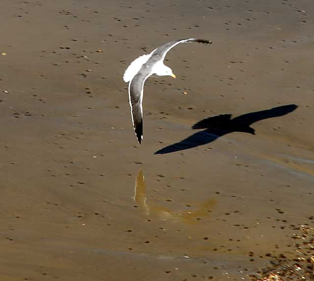 Venice Beach, Tuesday, November 2, 2010