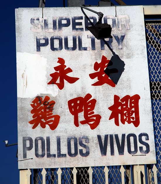 Superior Poultry on Broadway in Los Angeles' Chinatown