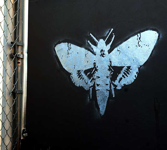 Hidden silver moth - parking lot near Heliotrope and Melrose