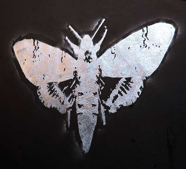 Hidden silver moth - parking lot near Heliotrope and Melrose