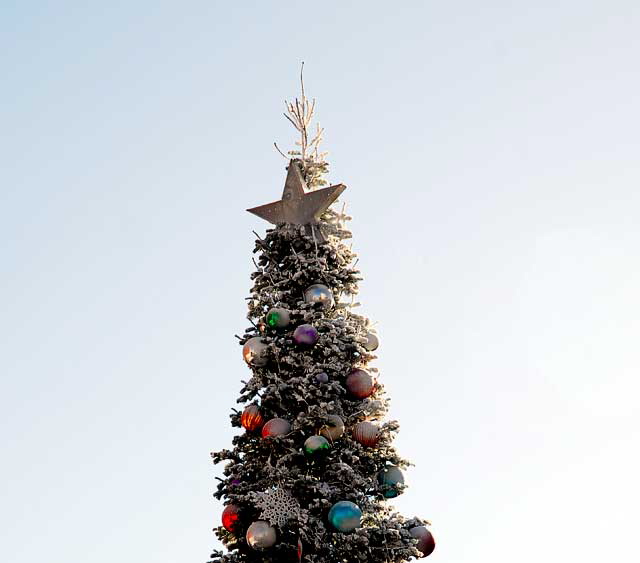 Scientology Christmas Tree, Hollywood Boulevard