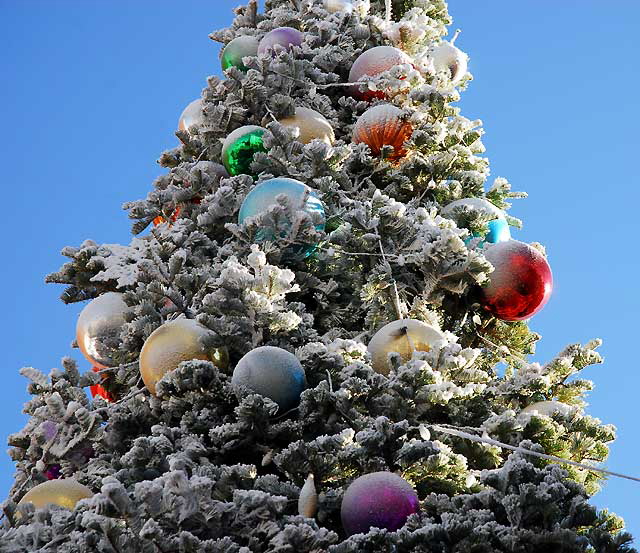 Scientology Christmas Tree, Hollywood Boulevard