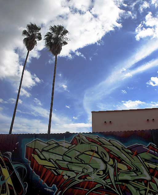 Alley behind Melrose Avenue, Tuesday, November 23, 2010