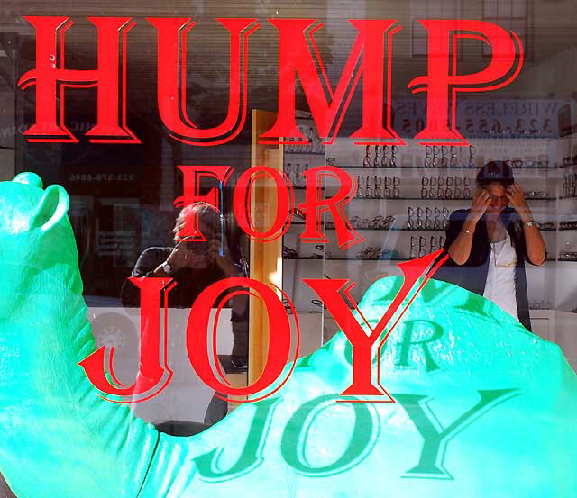 "Hump for Joy" - window of Aspen Optical on Melrose Avenue