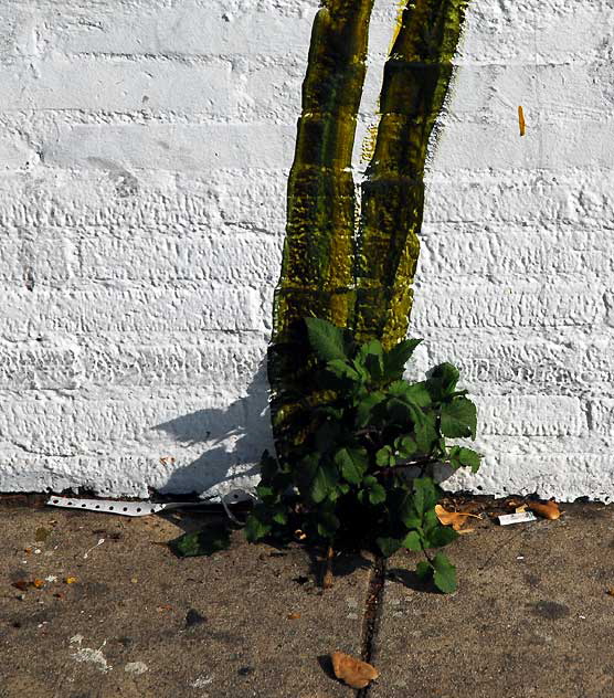 Flower mural by Andrea LaHue, 1344 North Highland Avenue, Hollywood, photographed Tuesday, December 14, 2010