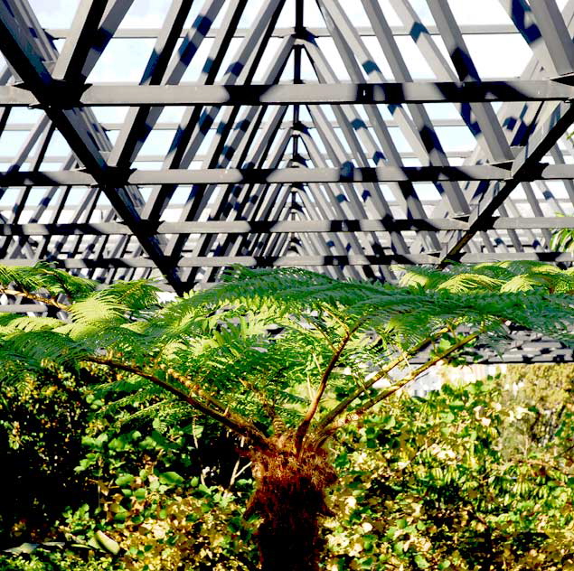 Atrium at the Page Museum at the La Brea Tar Pits, Wilshire Boulevard