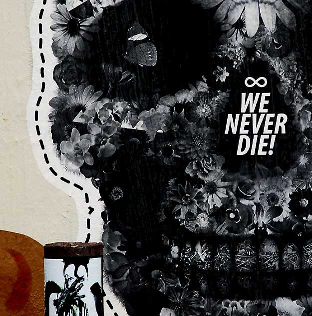 "We Never Die" - Flower Skull and Bankrupt Slut sticker, graphic in parking lot, Melrose Avenue