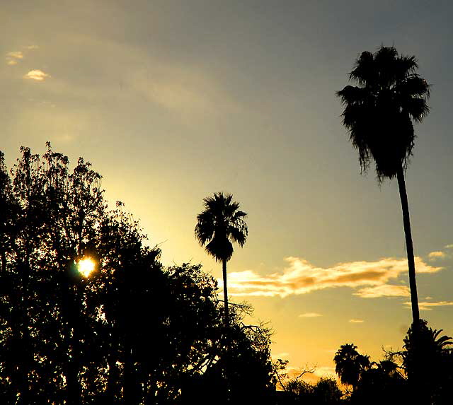 Hollywood Sky, Wednesday, December 22, 2010 