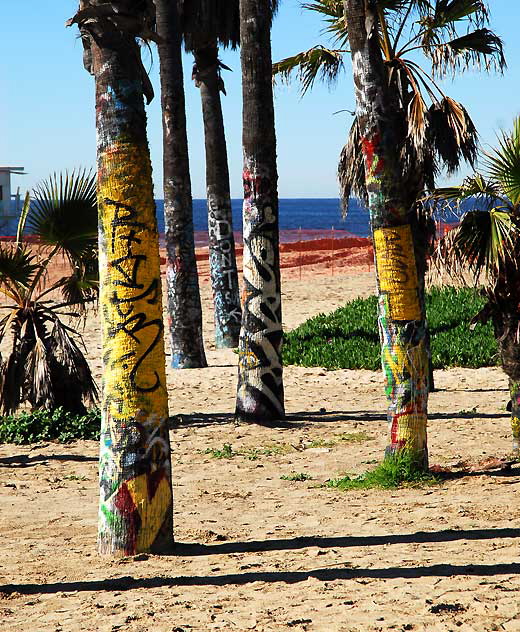 Graffiti area on Venice Beach, Monday, December 27, 2010