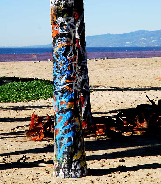 Graffiti area on Venice Beach, Monday, December 27, 2010