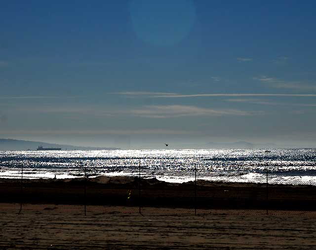 Venice Beach, Monday, December 27, 2010