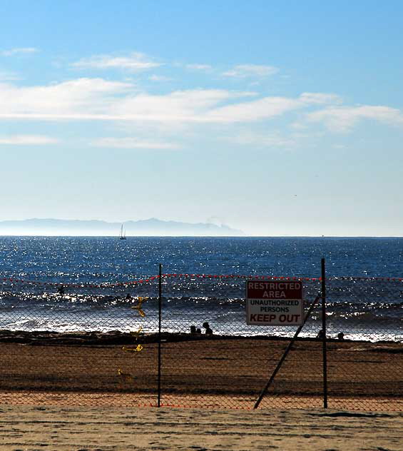 Venice Beach, Monday, December 27, 2010