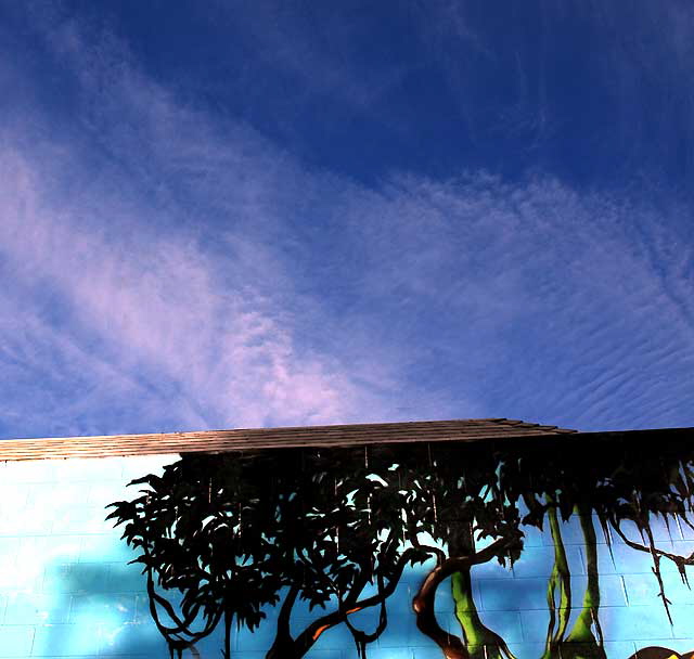 Sky over Melrose Avenue, Thursday, December 30, 2010
