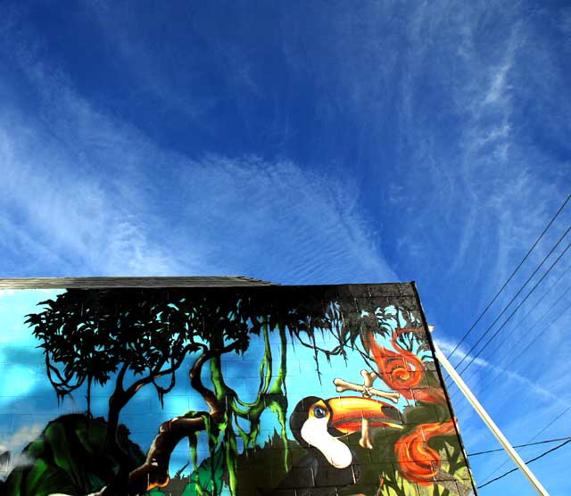 Sky over Melrose Avenue, Thursday, December 30, 2010