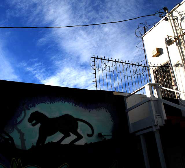 Sky over Melrose Avenue, Thursday, December 30, 2010