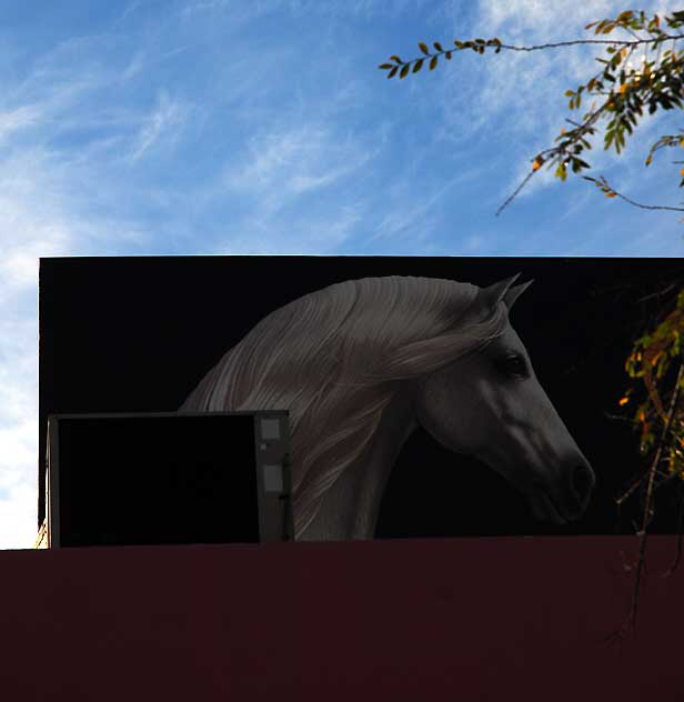 Sky over Melrose Avenue, Thursday, December 30, 2010