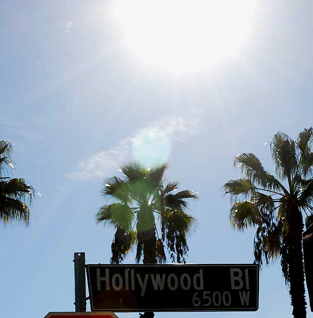 Hollywood Boulevard Sky