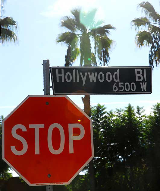 Hollywood Stop Sign