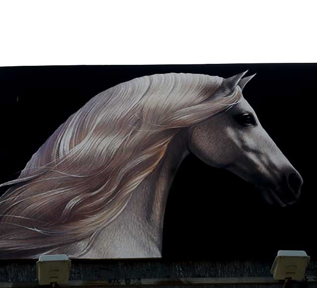 Horse billboard, North Cahuenga Boulevard, Hollywood