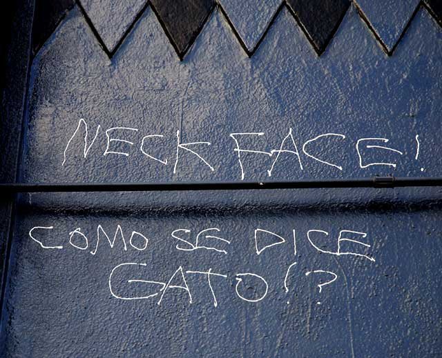 Neck Face, Melrose Avenue alley, Friday, January 7, 2011