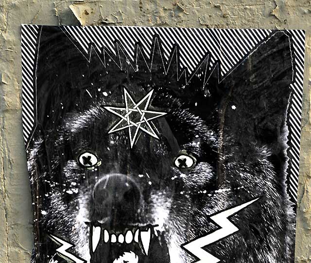Shepard Fairey Black Dog, Melrose Avenue, Friday, January 7, 2011