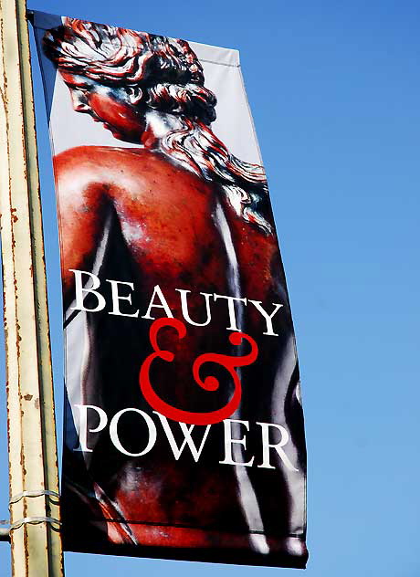 "Beauty and Power" - banner for exhibits at the Huntington