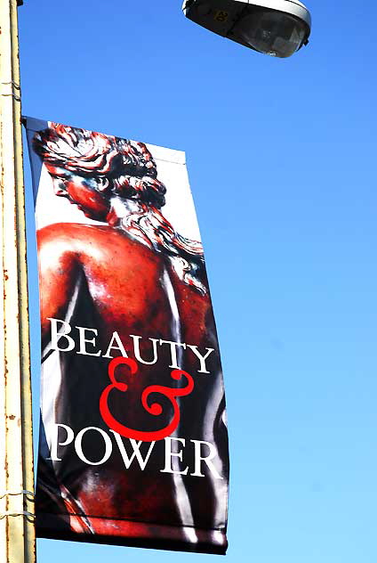 "Beauty and Power" - banner for exhibits at the Huntington