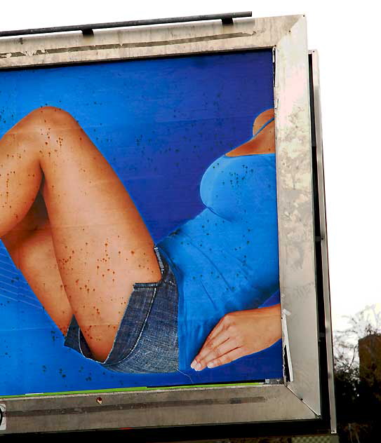 Sketchers billboard, Ivan and Selma, Hollywood