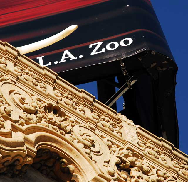 LA Zoo billboard, Hollywood Boulevard