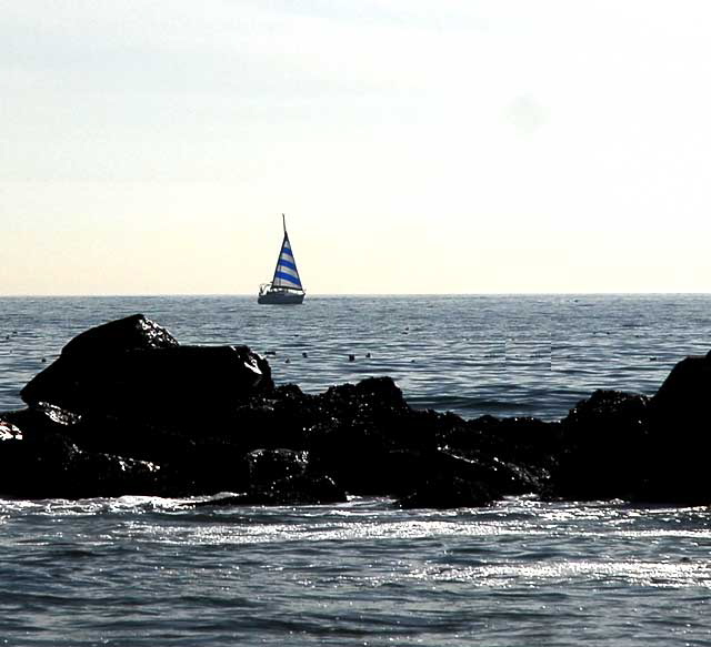 Breakwater, Venice Beach, Tuesday, January 25, 2011