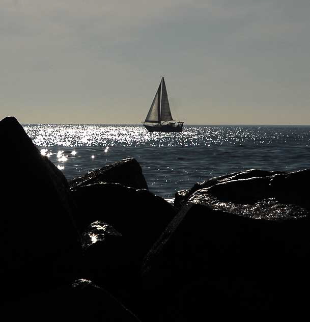 Breakwater, Venice Beach, Tuesday, January 25, 2011