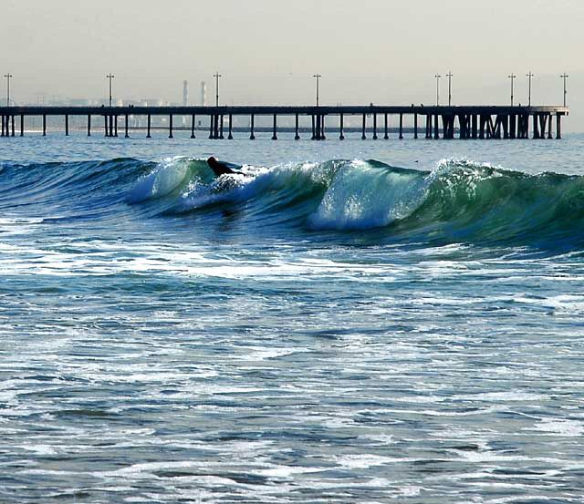 Surfer, Venice Beach, Tuesday, January 25, 2011