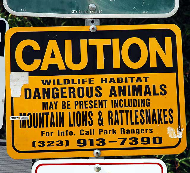 Wildlife Warning Sign, Griffith Park