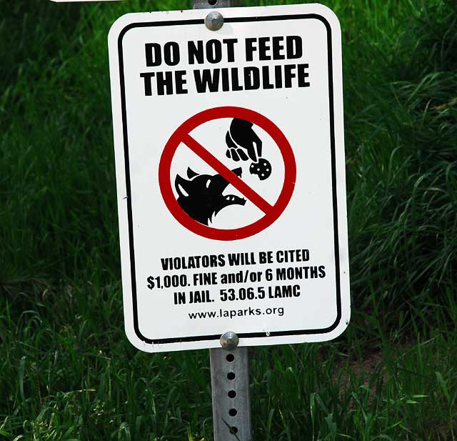 Wildlife Warning Sign, Griffith Park