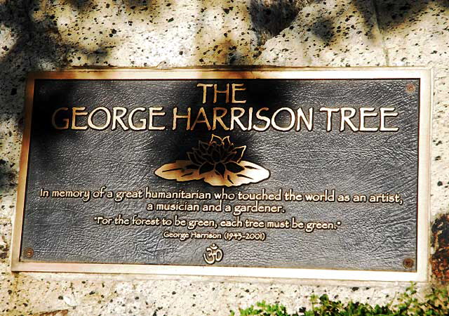The George Harrison Tree at the Griffith Park Observatory