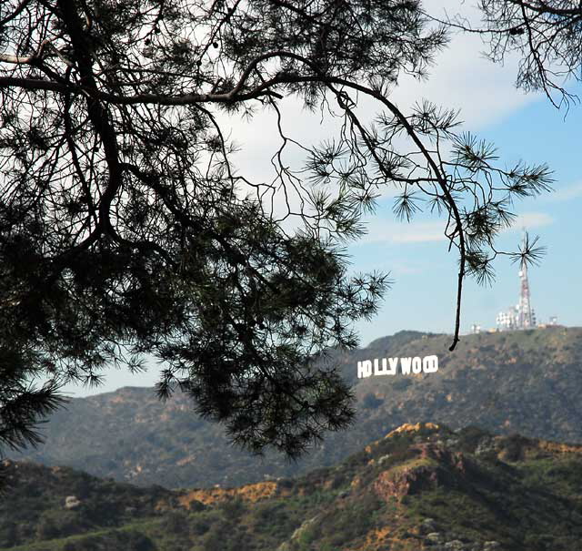 The Hollywood Sign, Wednesday, January 26, 2011