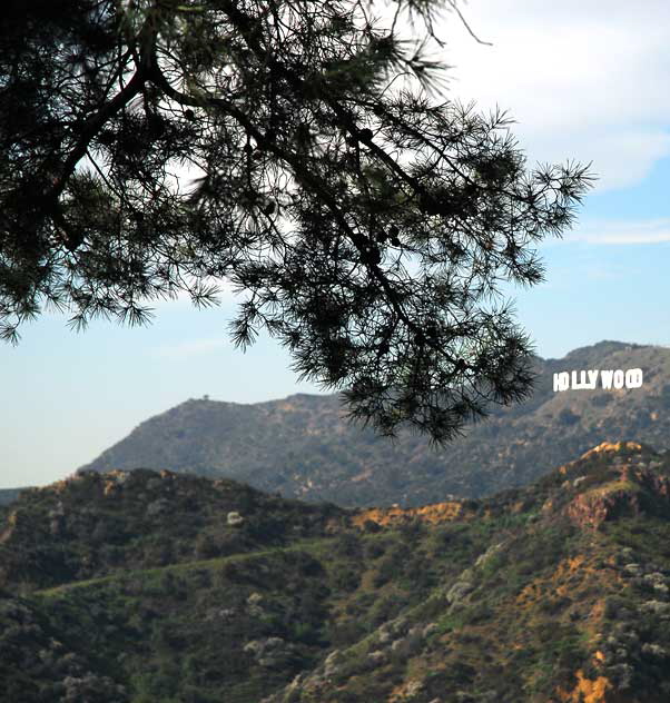 The Hollywood Sign, Wednesday, January 26, 2011