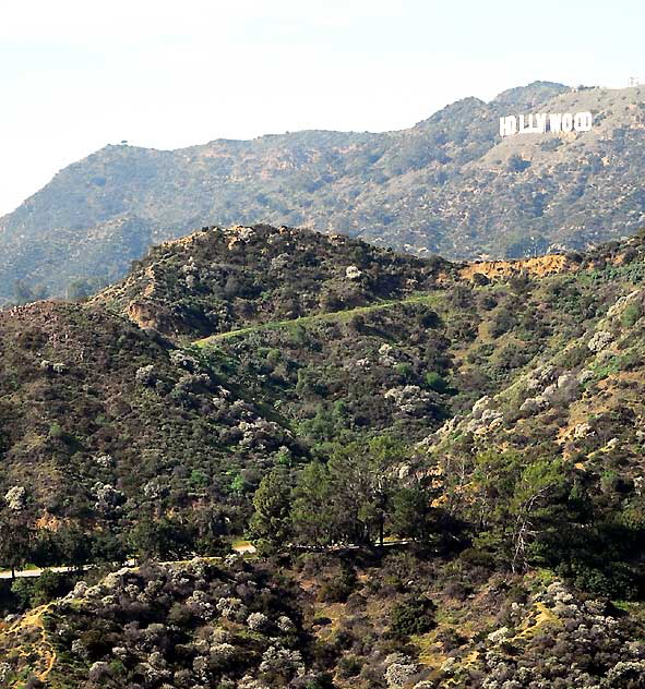 The Hollywood Sign, Wednesday, January 26, 2011