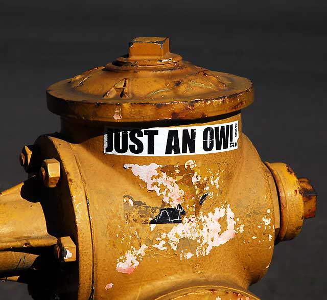 Just an Owl - fire hydrant down on Spaulding at Melrose Avenue