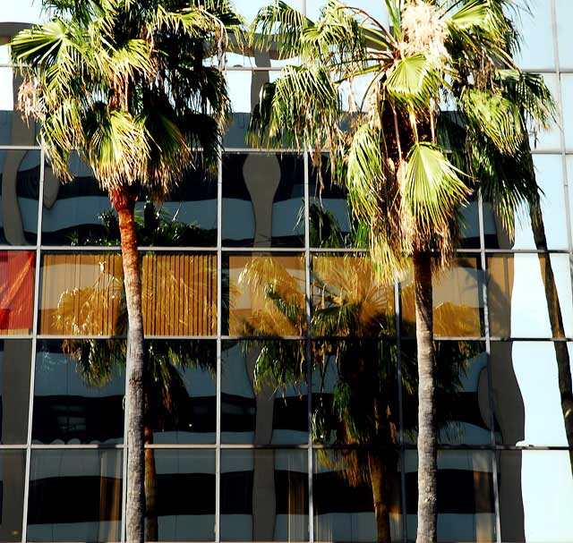 Glass façade, Hollywood Boulevard 