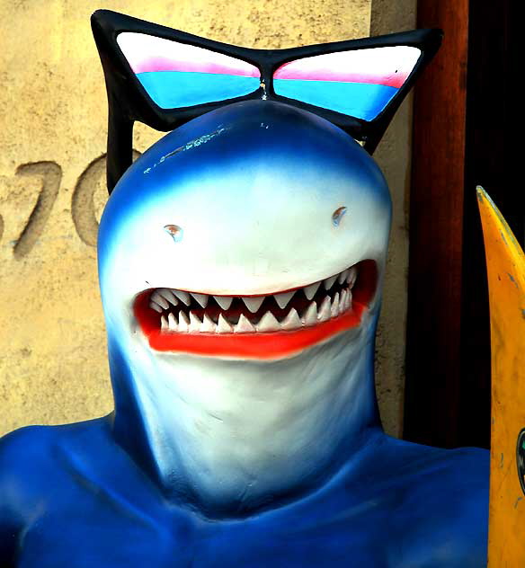 Surfer Shark, Maui Brothers, Hollywood Boulevard