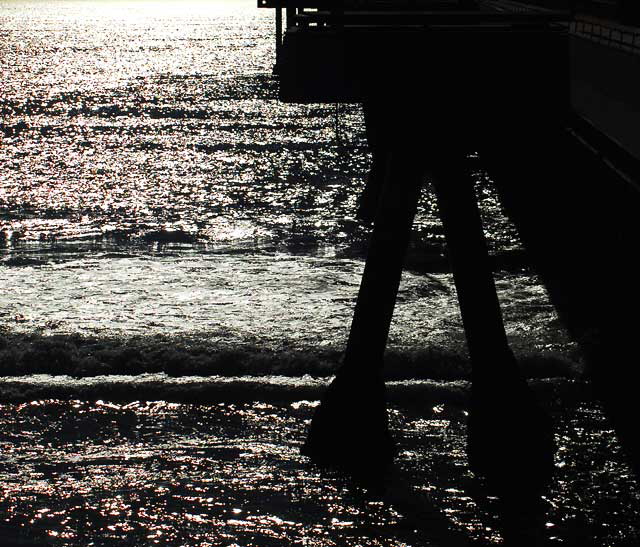 At the Venice Beach Pier, Wednesday, February 9, 2011