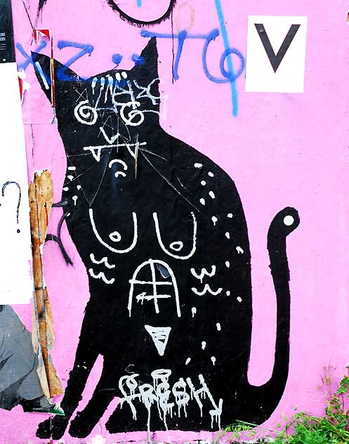 Black Cat, Sunset Boulevard, Silverlake
