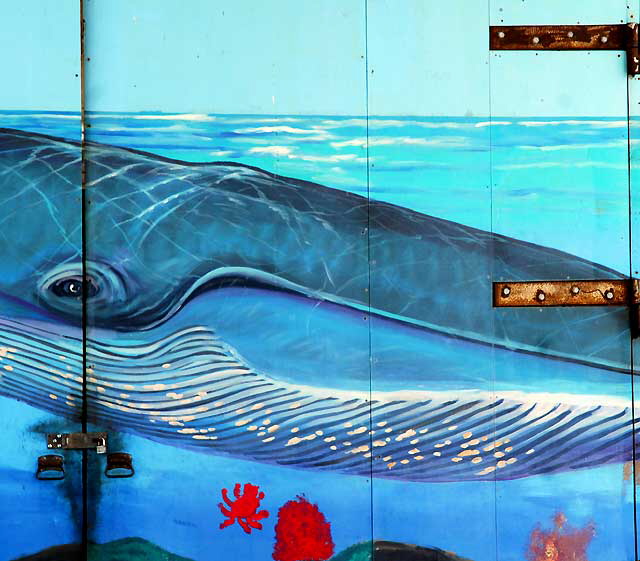 Mural at the aquarium under the Santa Monica Pier