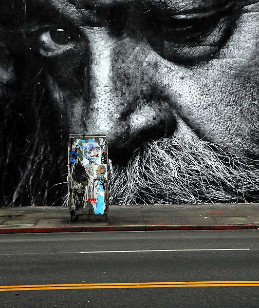 Face Wall, Melrose Avenue, February 25, 2011