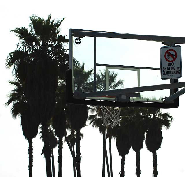 Venice Beach Basketball Court, Friday, March 4, 2011