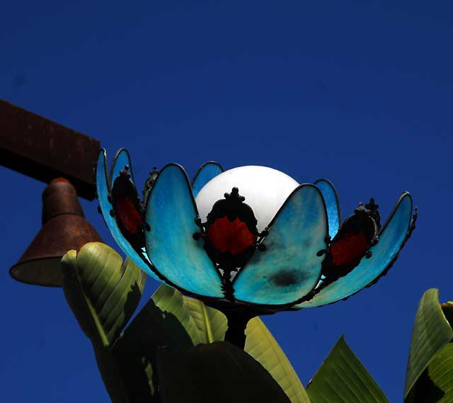 Flower lamp at the Starbucks on Melrose Avenue