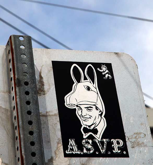 ASVP sticker