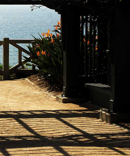 Palisades Park, Santa Monica, Wednesday, March 16, 2011