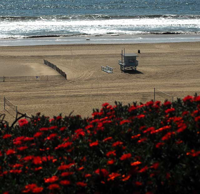 Palisades Park, Santa Monica, Wednesday, March 16, 2011